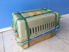 成都至海口貓咪的發運