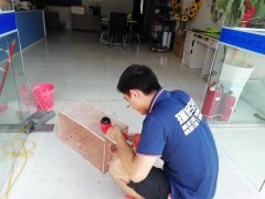 成都至烏魯木齊鴿子的發運
